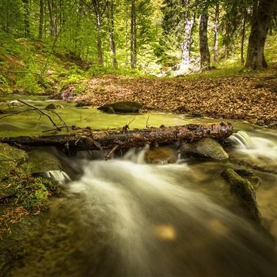 乐鱼app官网下载官方版